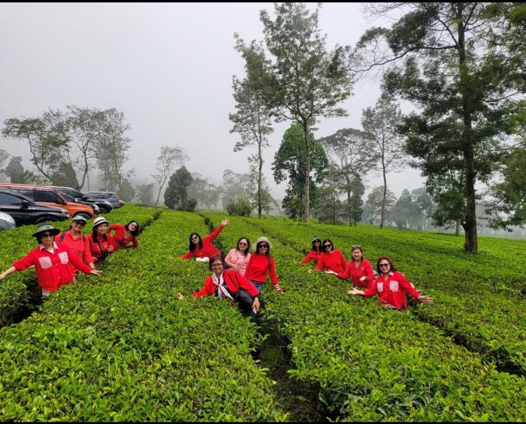 Homestay Ngaso Dalem Wonosobo Exterior foto